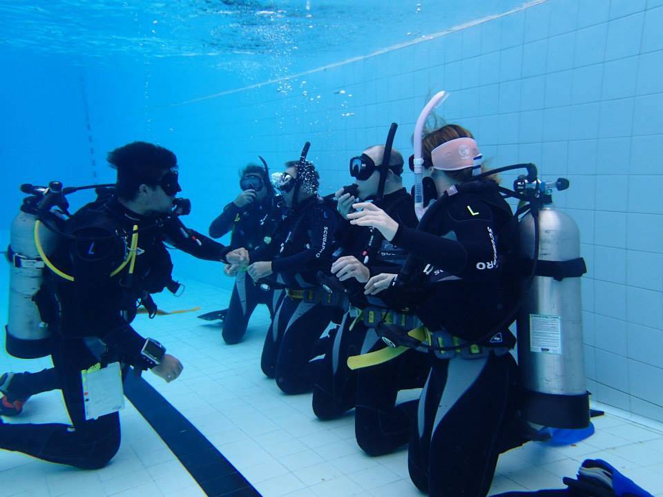 Top Reasons Why Scuba Diving Is A Must Learn